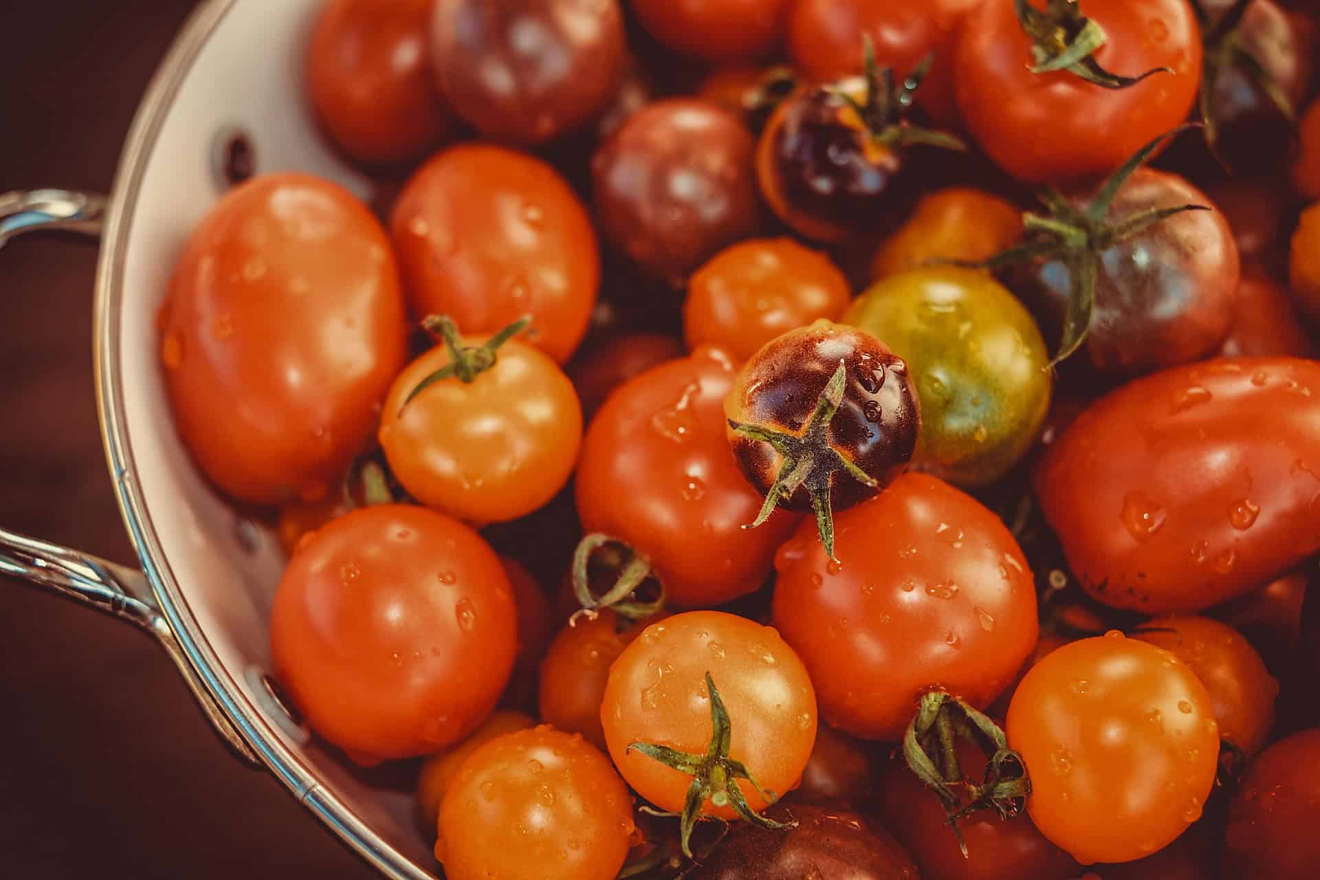 tomaten in einer schale