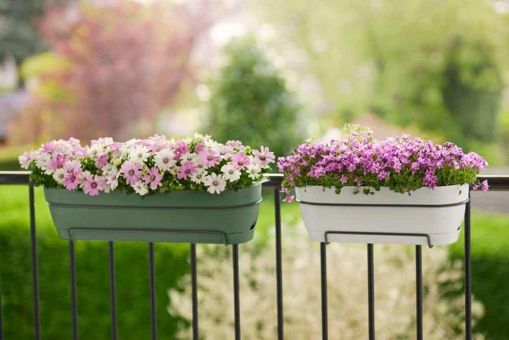 Elho Campana Balkonkasten All-in-1 – Wasserspeicher, recycelter Kunststoff